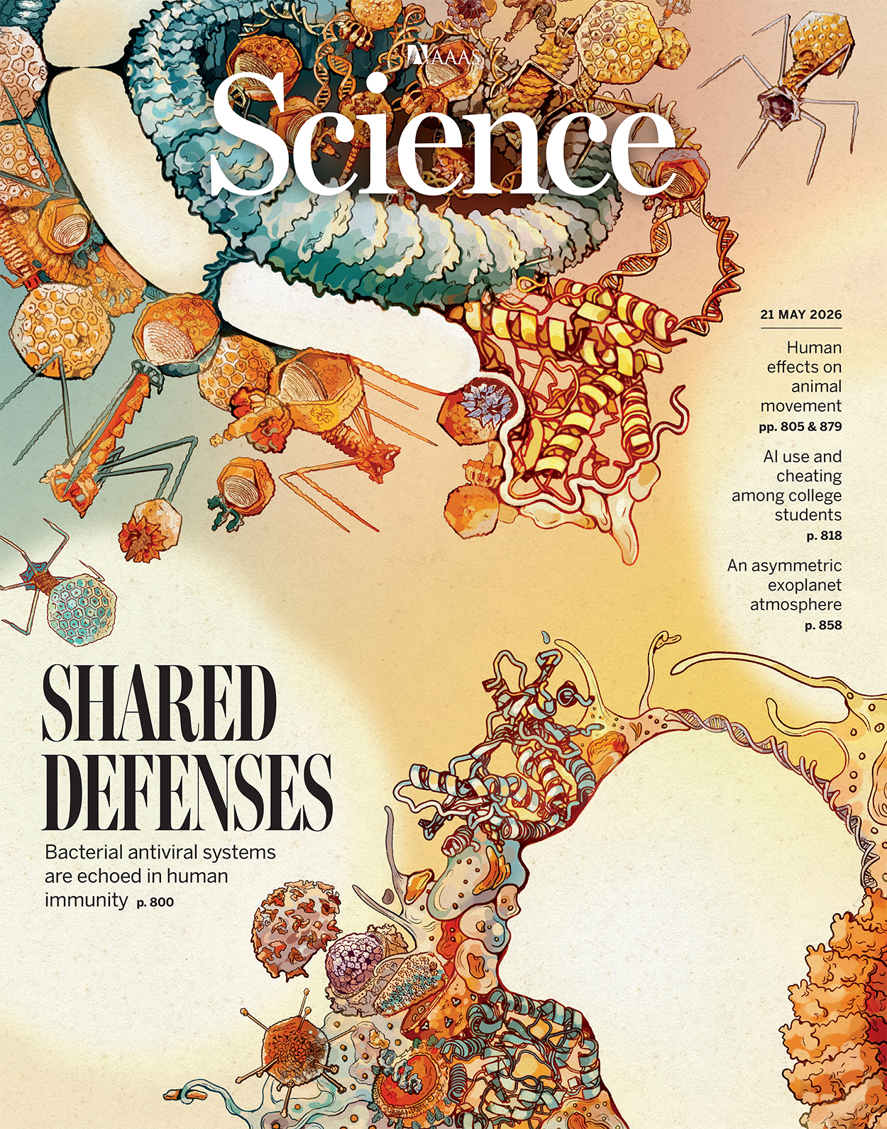 Science magazine cover featuring the published article